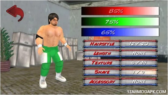 wrestling-revolution-3d-mod-apk-character