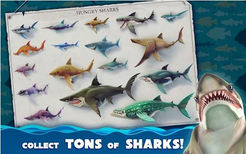 hungry-shark-world-mod-apk-collect-tons-of-sharks